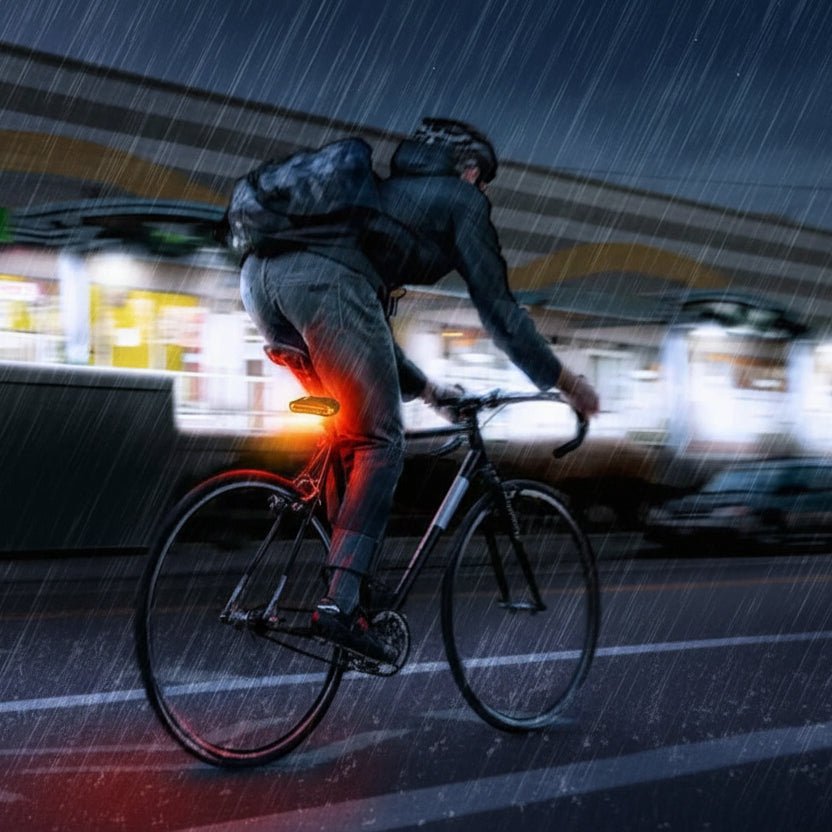 Intelligent Bicycle Tail Light with Alarm Feature