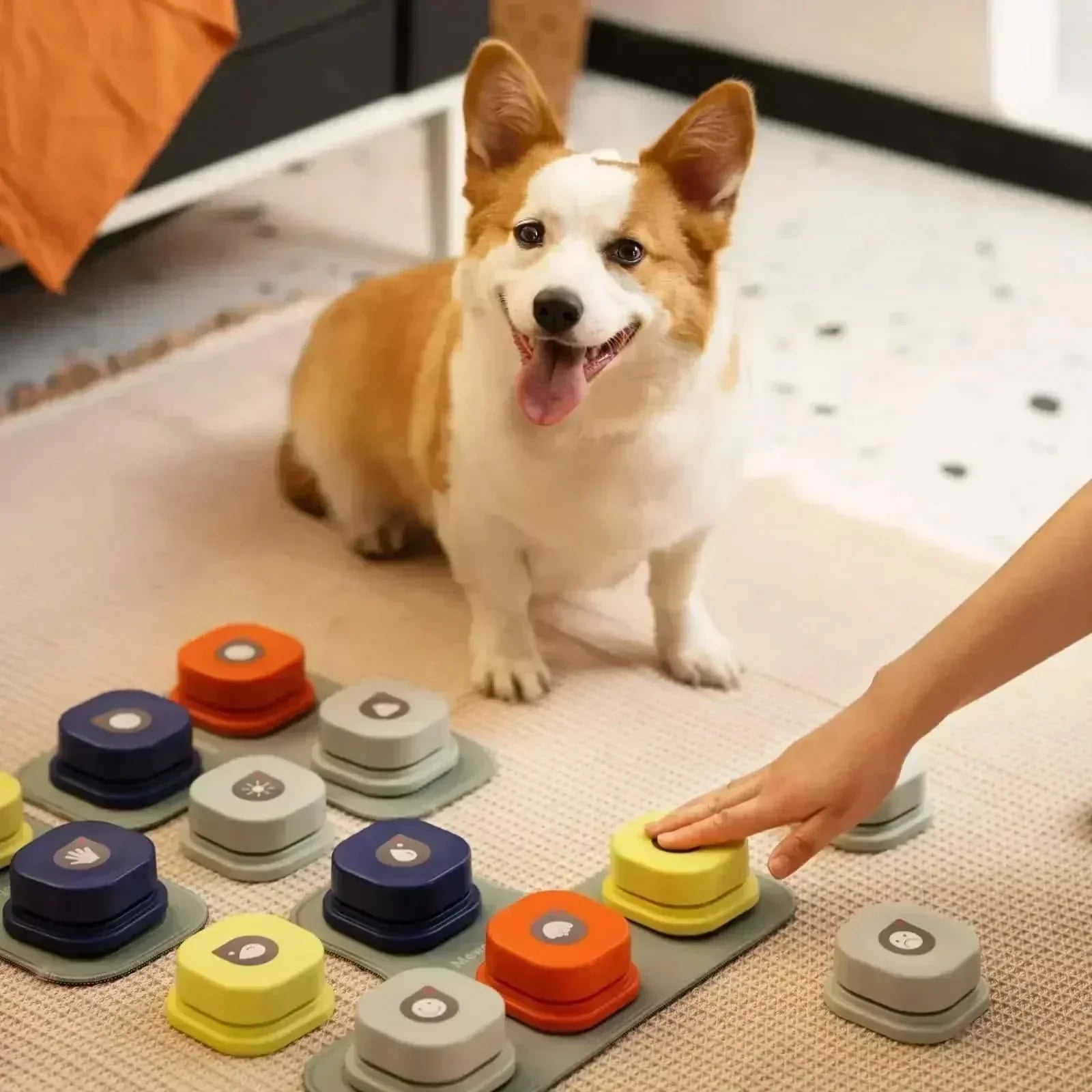 Engaging Speech Buttons for Fun Dog Communication