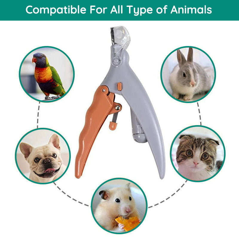 Intelligent Quick-Sensing Nail Clippers for Pets