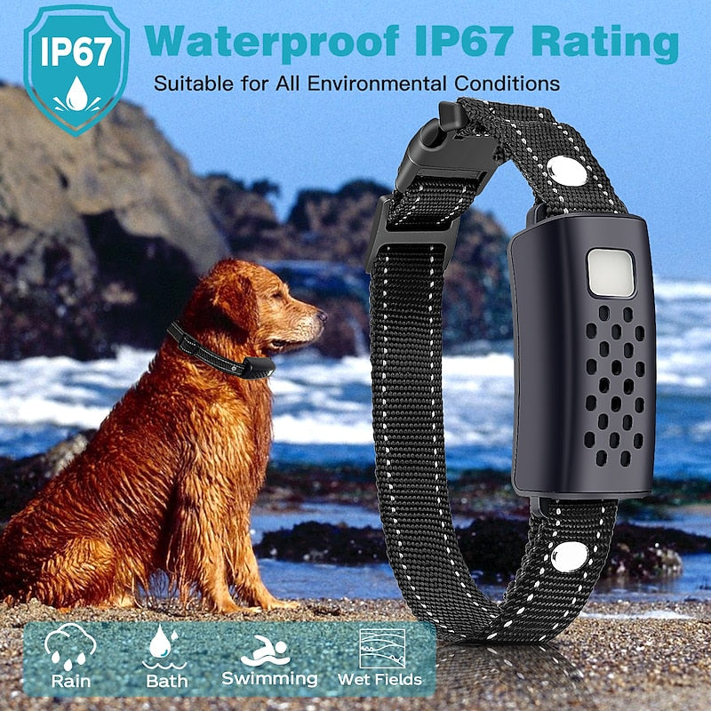 High-Performance Dog Training Collar with 2000-Metre Range