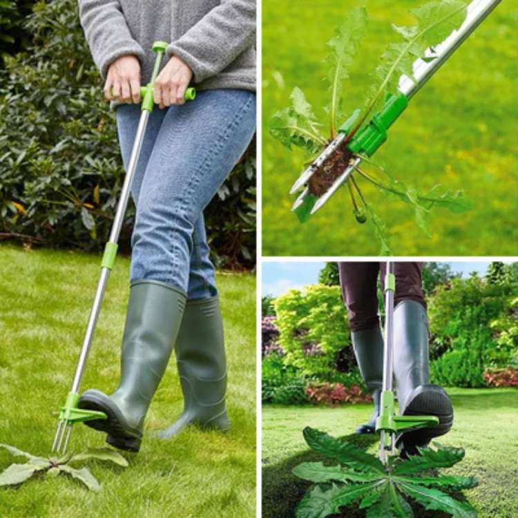 Garden Weeding Tool