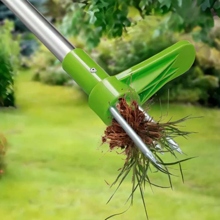 Garden Weeding Tool