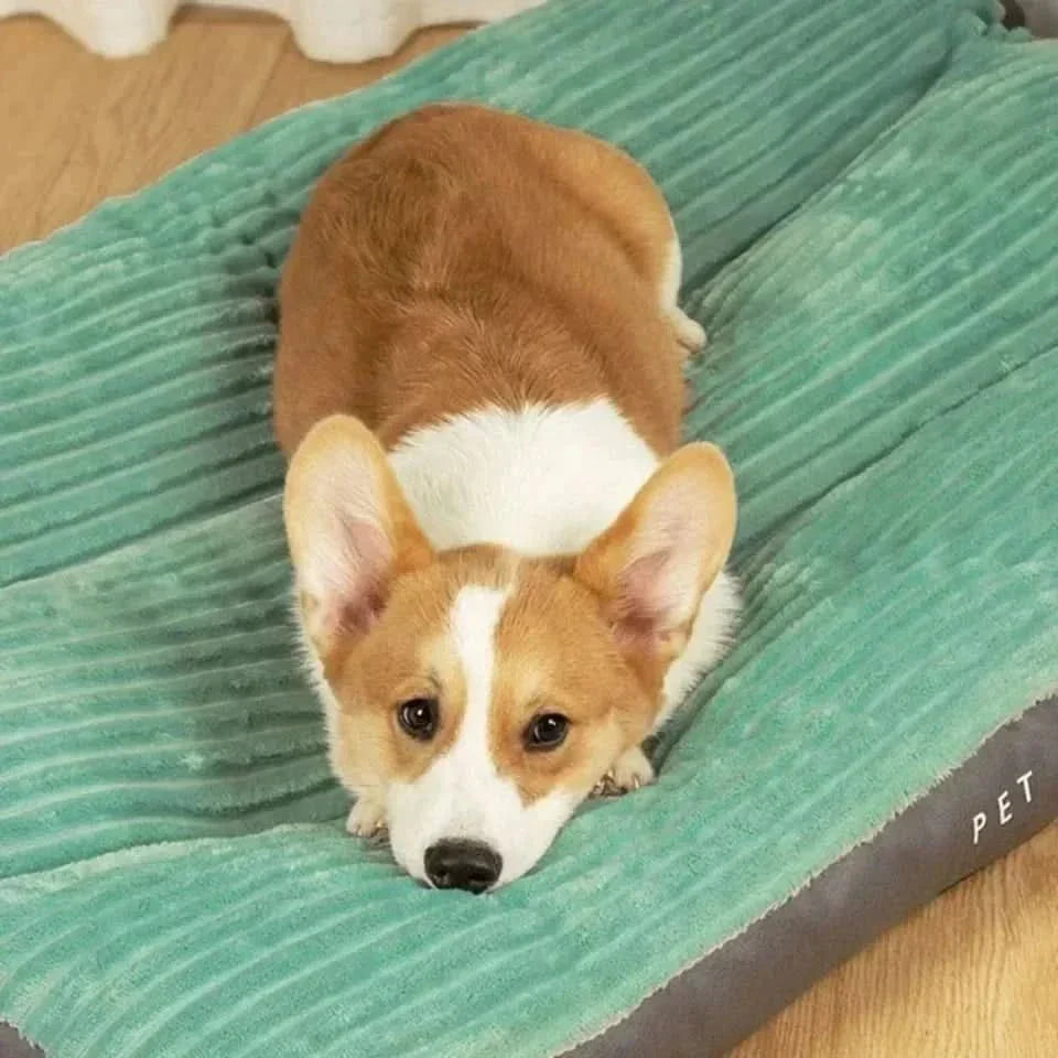 Plush Comfort Dog Bed